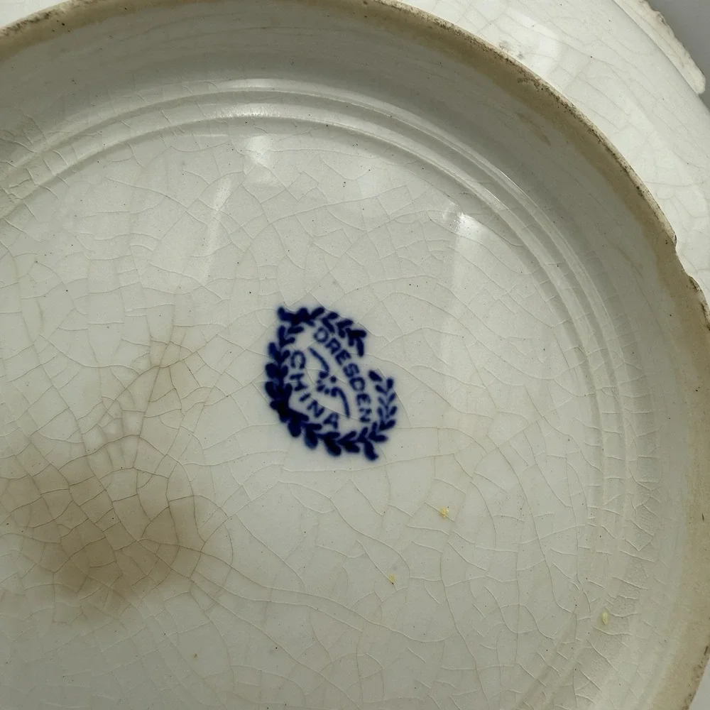 Vintage Dresden China‎ Thistle Floral Transferware Serving Bowl Dish Stain Decor